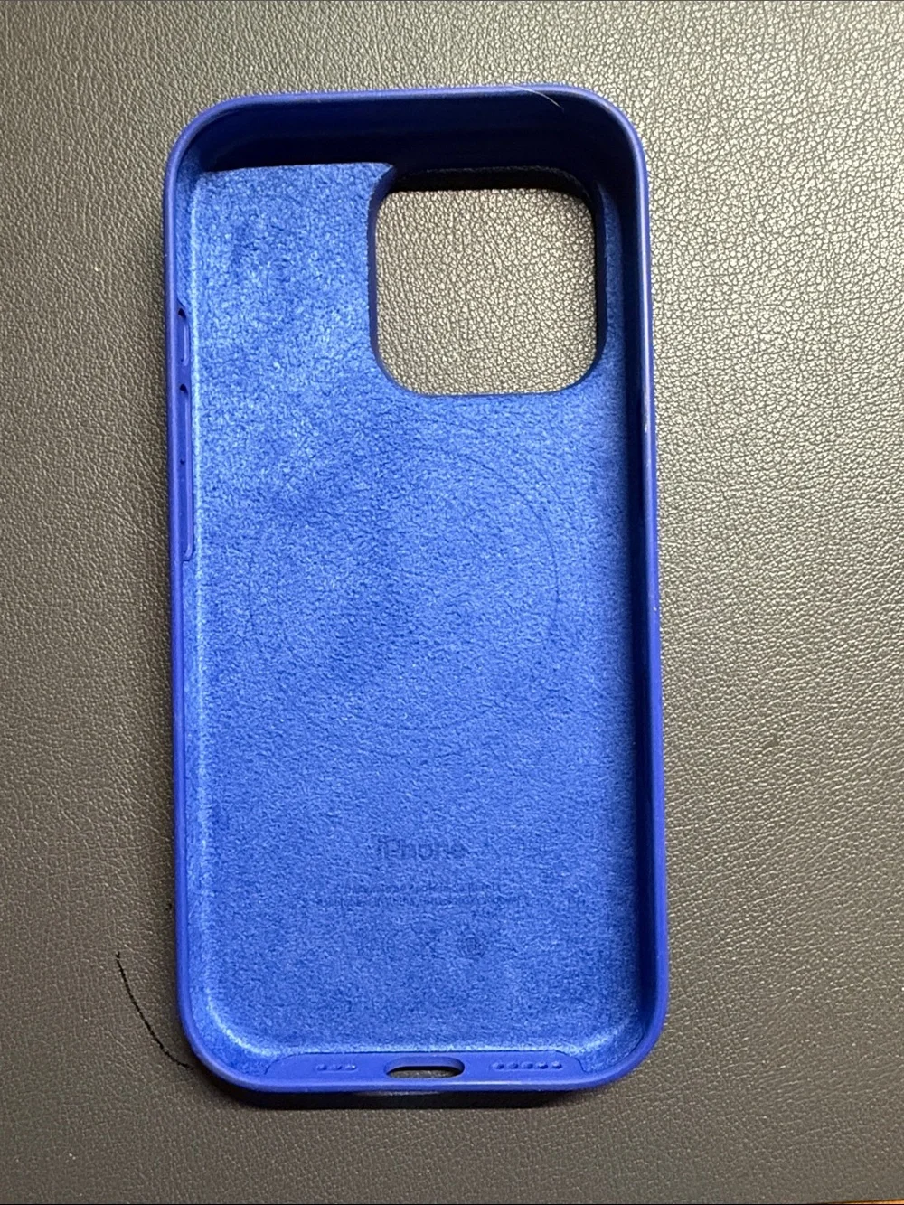 iPhone 16 Pro Apple Case